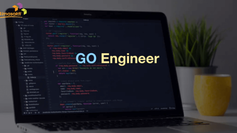 Go Developer